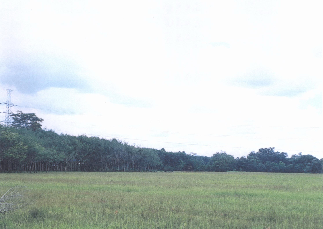 ที่ดินเปล่า พัทลุง เมืองพัทลุง เขาเจียก 146875