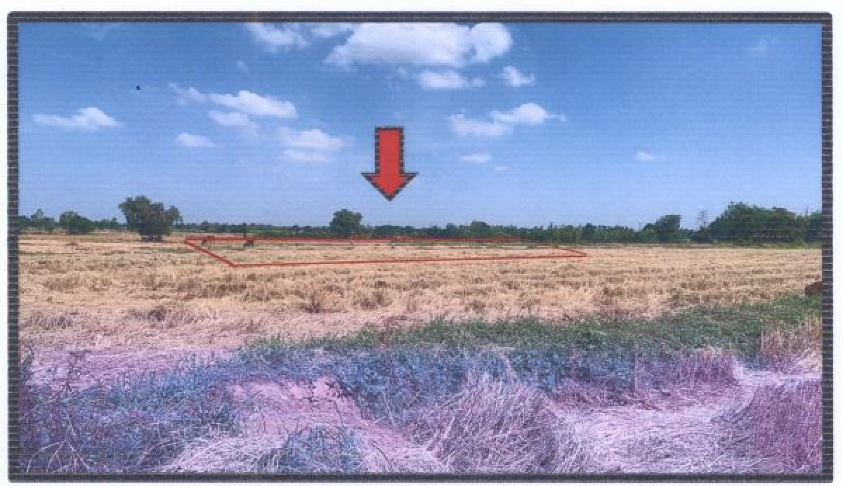 Residential land/lot Khon Kaen Phon Chot Nong Kae 288360