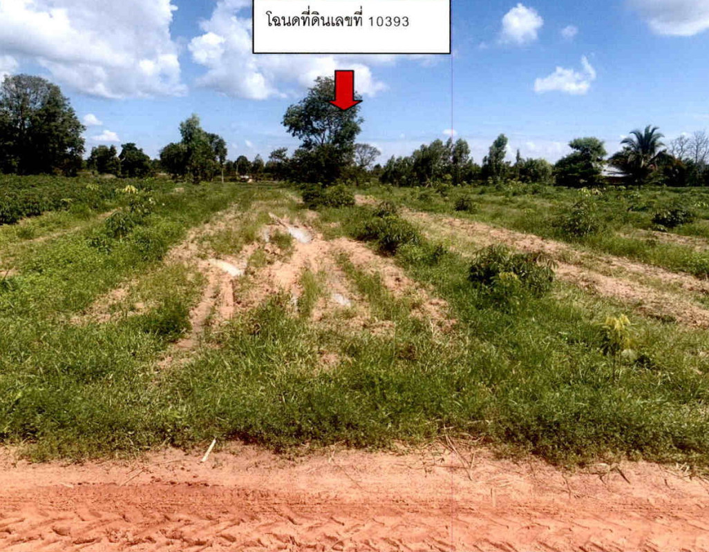Residential land/lot Ubon Ratchathani Nam Yuen Dom Pradit 363300