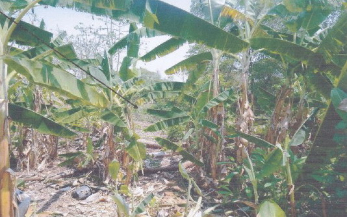 Residential land/lot Maha Sarakham Wapi Pathum Khaen 230000