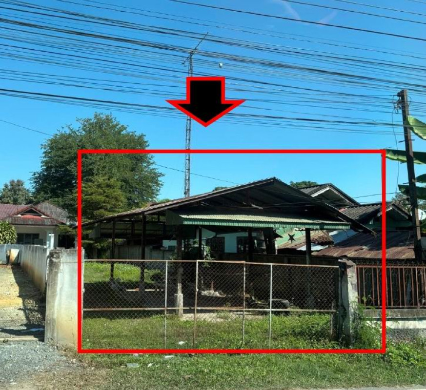 บ้านเดี่ยว เชียงใหม่ แม่แตง ขี้เหล็ก 547730