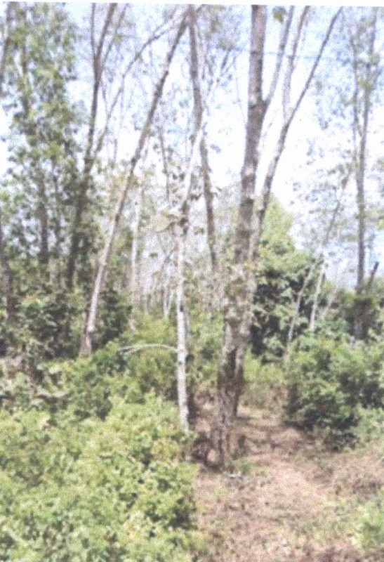 ที่ดินเปล่า ยะลา รามัน อาซ่อง 94070