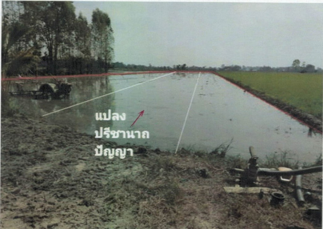 ที่ดินเปล่า อุทัยธานี ลานสัก ประดู่ยืน 40000