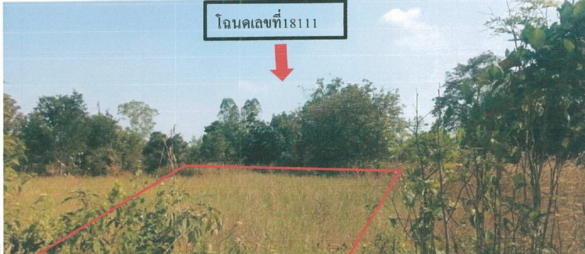 ที่ดินเปล่า อุทัยธานี หนองฉาง หนองยาง 217700