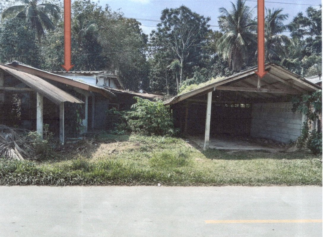 Single house Phatthalung Pa Bon Wang Mai 895452