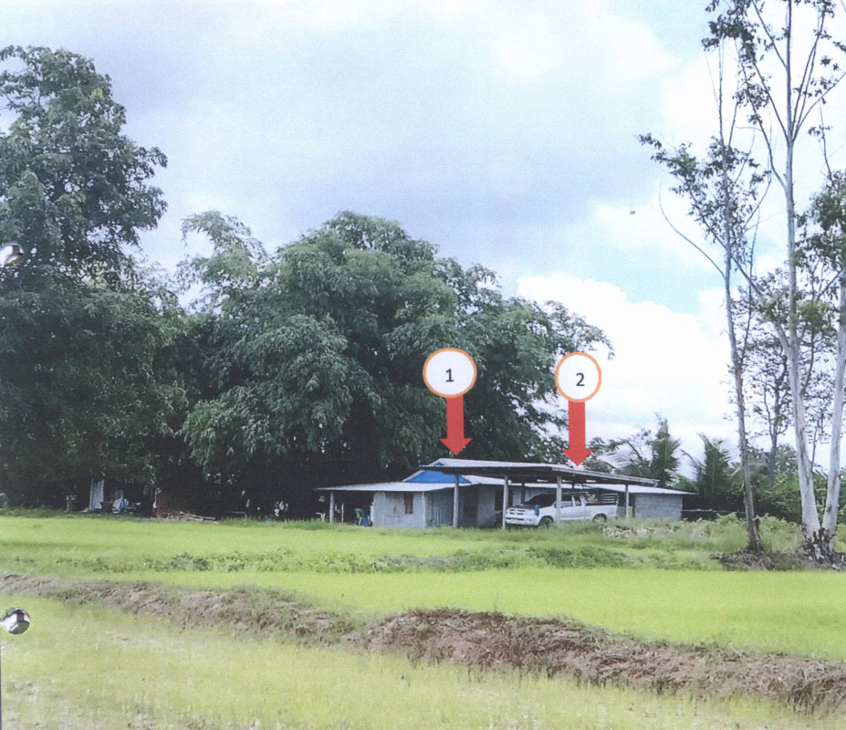 บ้านเดี่ยว ศรีสะเกษ โนนคูณ หนองกุง 790920