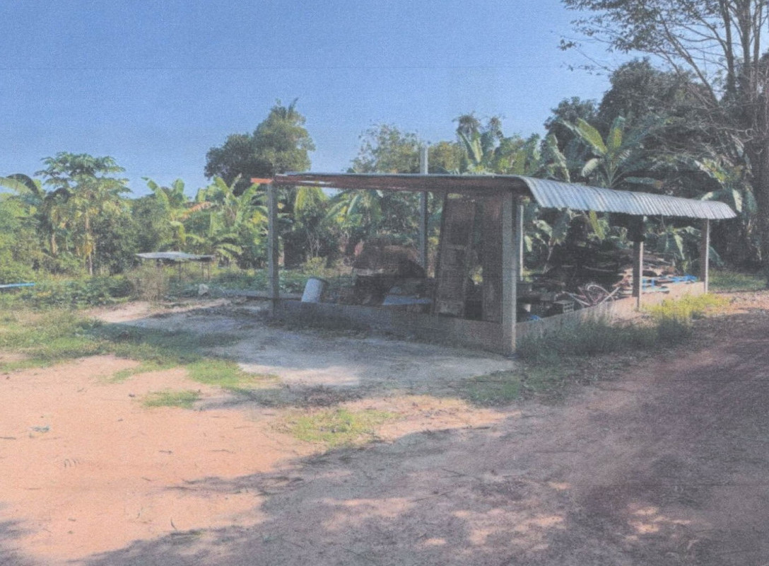 บ้านเดี่ยว พิจิตร โพธิ์ประทับช้าง ไผ่รอบ 127780