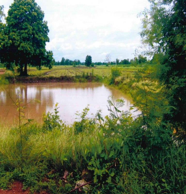 ที่ดินเปล่า สุโขทัย คีรีมาศ ทุ่งยางเมือง 288145