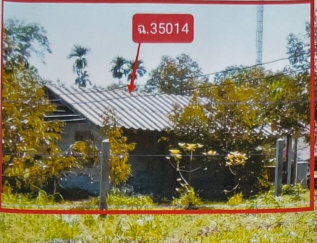 บ้านเดี่ยว สุราษฎร์ธานี บ้านนาสาร น้ำพุ 254644