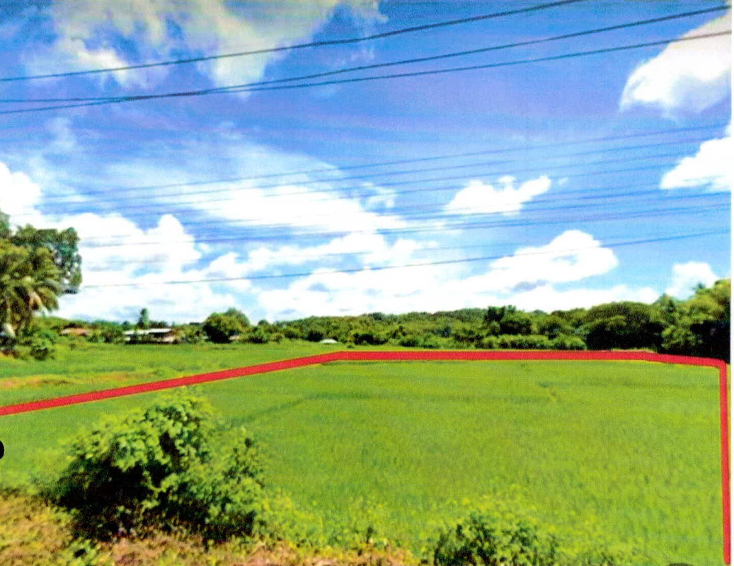 ที่ดินเปล่า น่าน เวียงสา จอมจันทร์ 450000