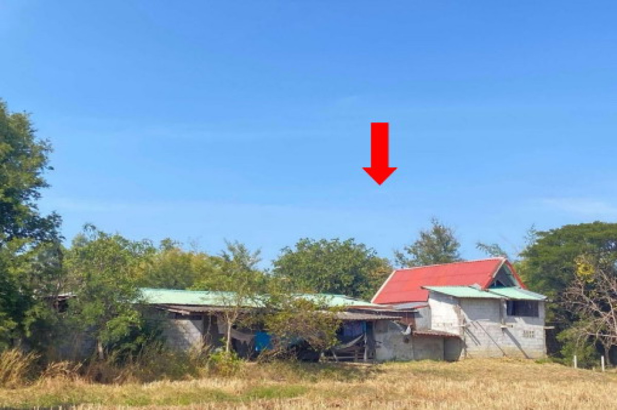 บ้านเดี่ยว มหาสารคาม เมืองมหาสารคาม ตลาด 2831490