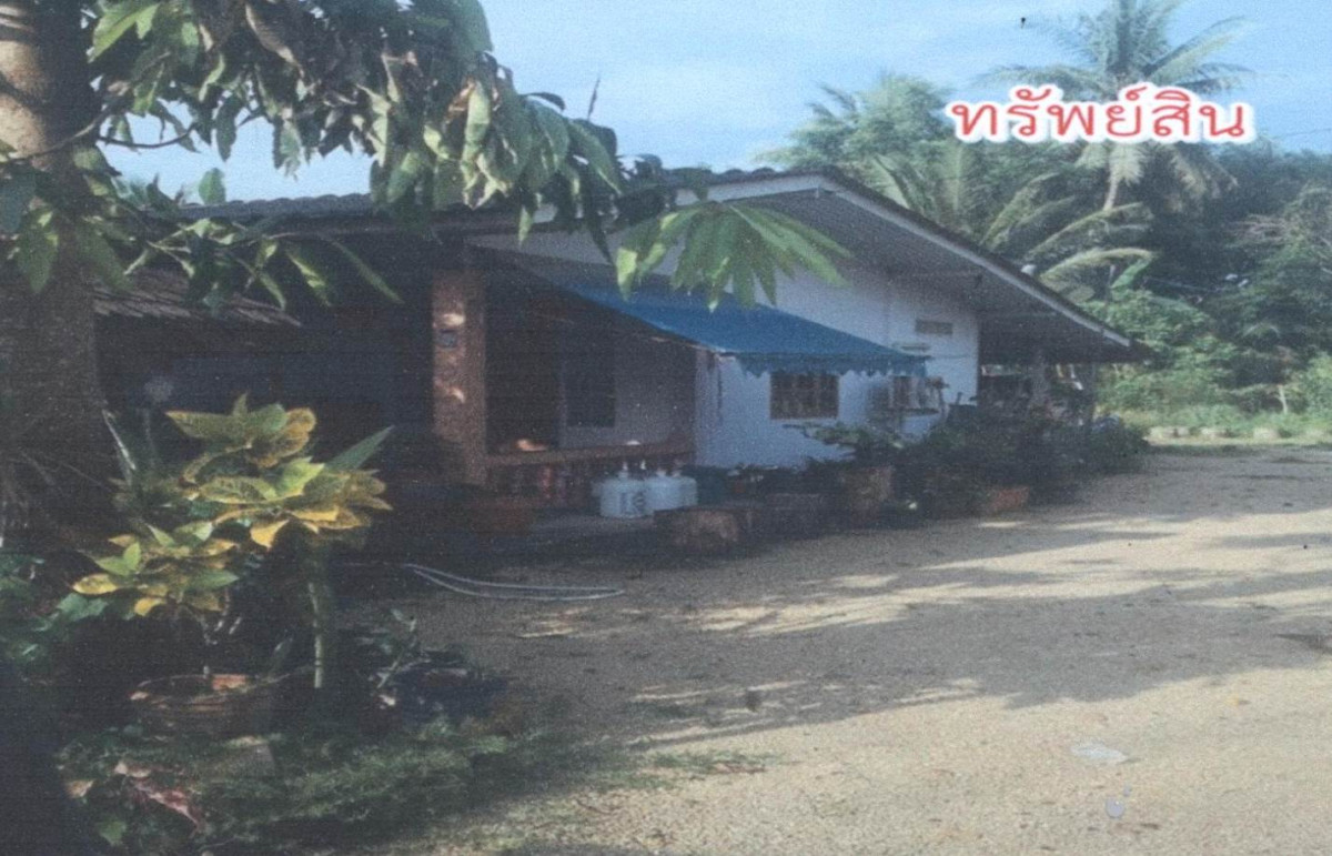 บ้านเดี่ยว สงขลา จะนะ สะพานไม้แก่น 619680