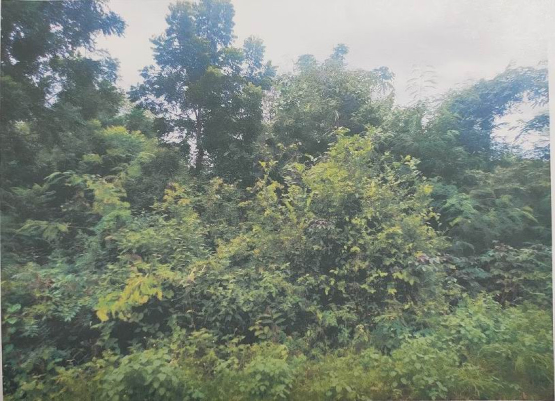 ที่ดินเปล่า ขอนแก่น แวงใหญ่ แวงใหญ่ 90600