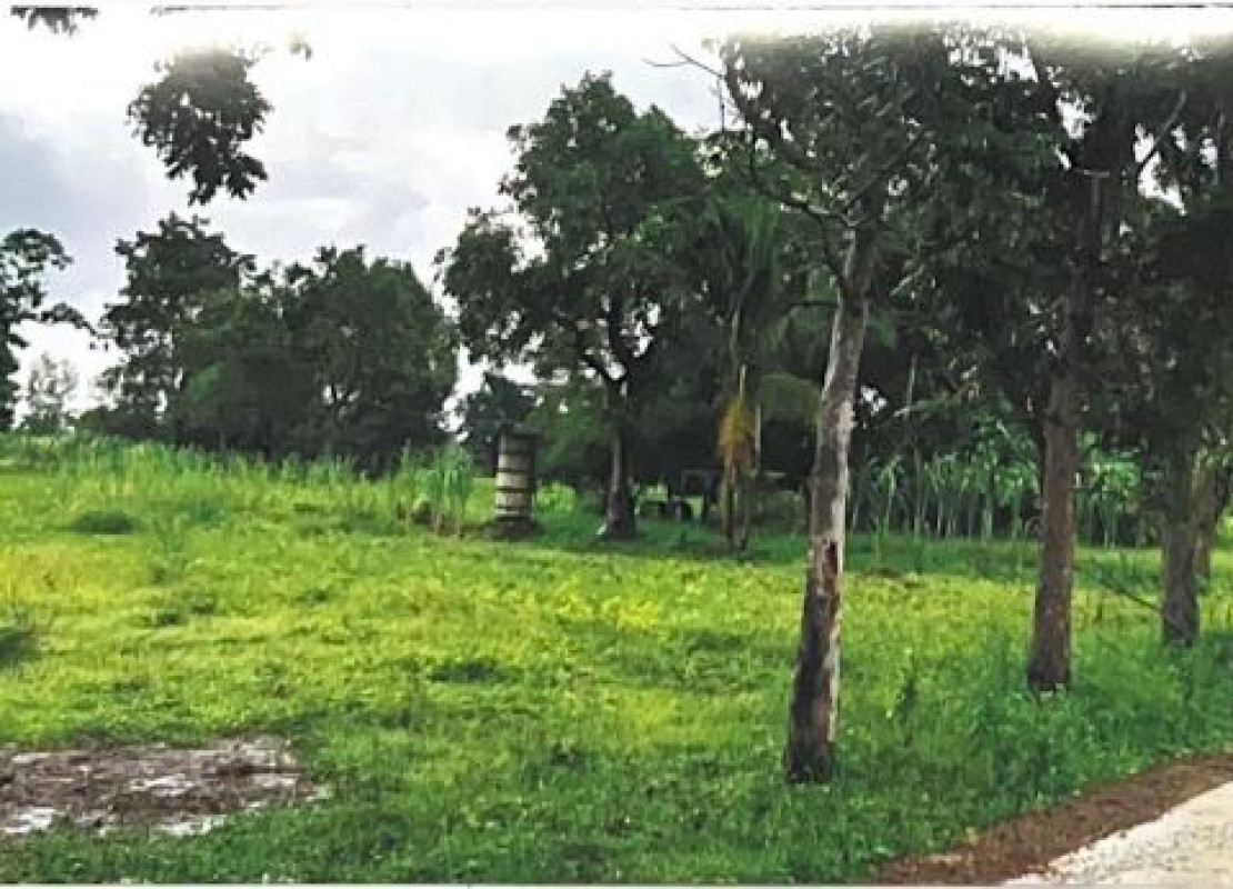 ที่ดินเปล่า อุบลราชธานี ทุ่งศรีอุดม นาห่อม 905710