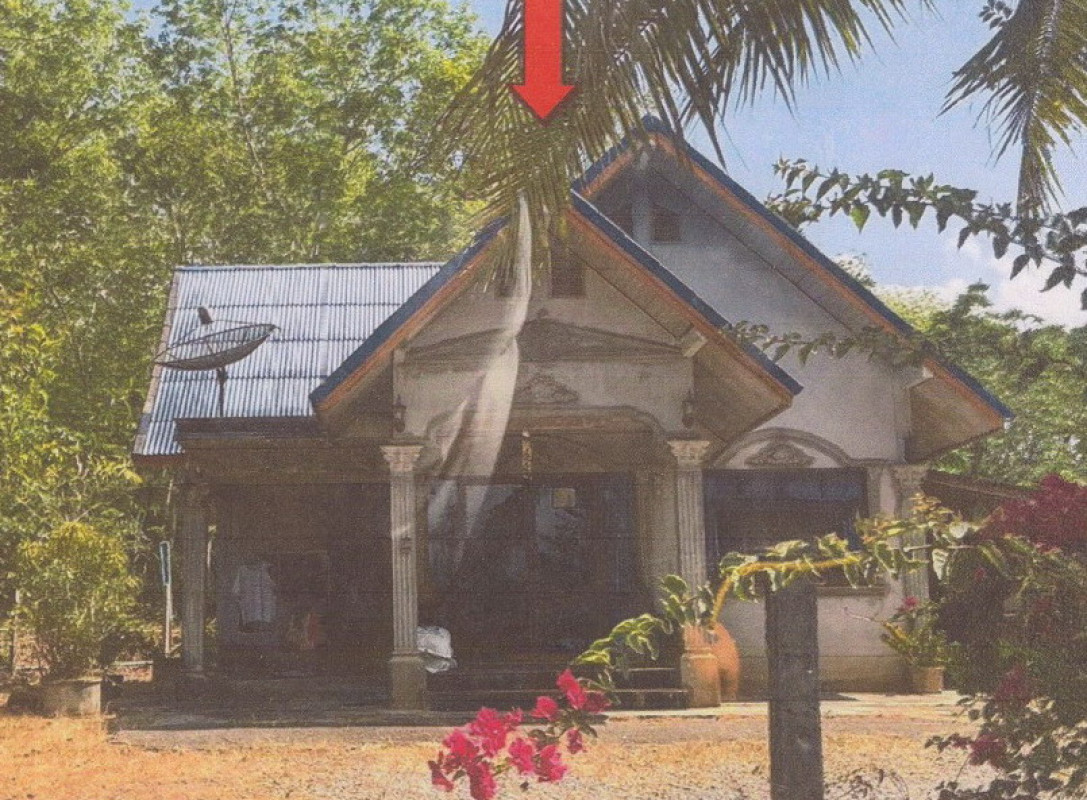 บ้านเดี่ยว นครศรีธรรมราช บางขัน บางขัน 805840