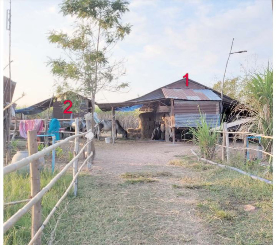 บ้านเดี่ยว มหาสารคาม โกสุมพิสัย หนองเหล็ก 799950