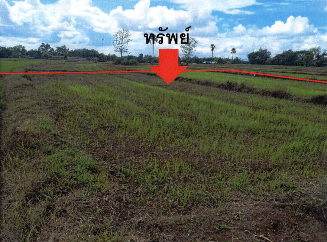 ที่ดินเปล่า ลำปาง แม่ทะ แม่ทะ 31920