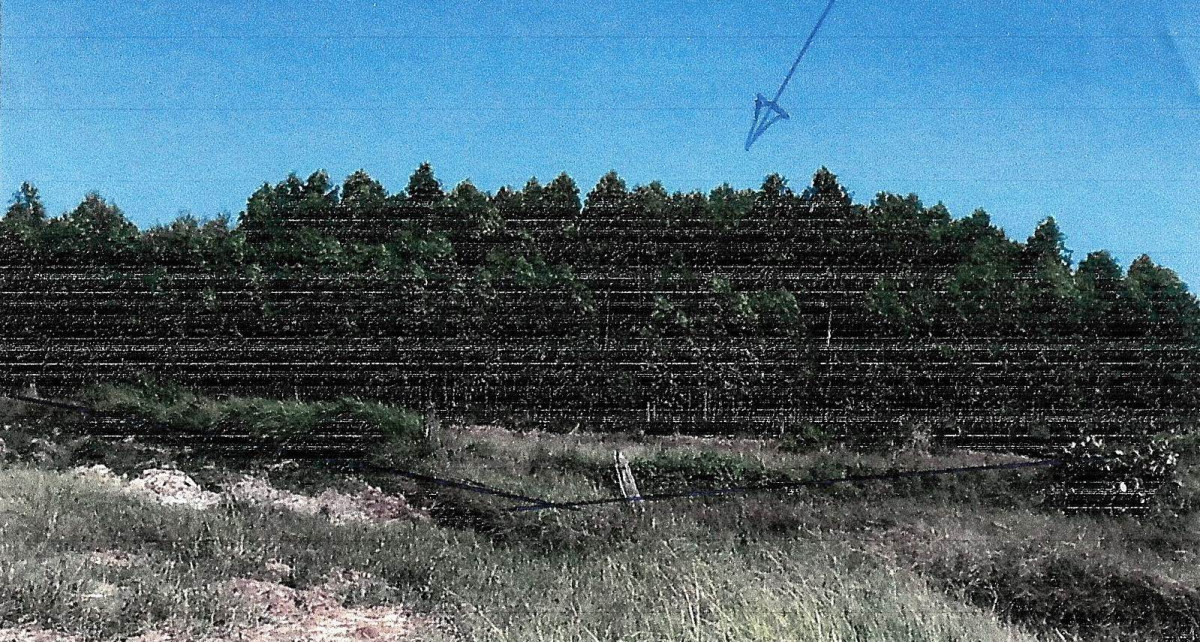 Residential land/lot Chaiyaphum Noen Sa-nga Nong Chim 133300