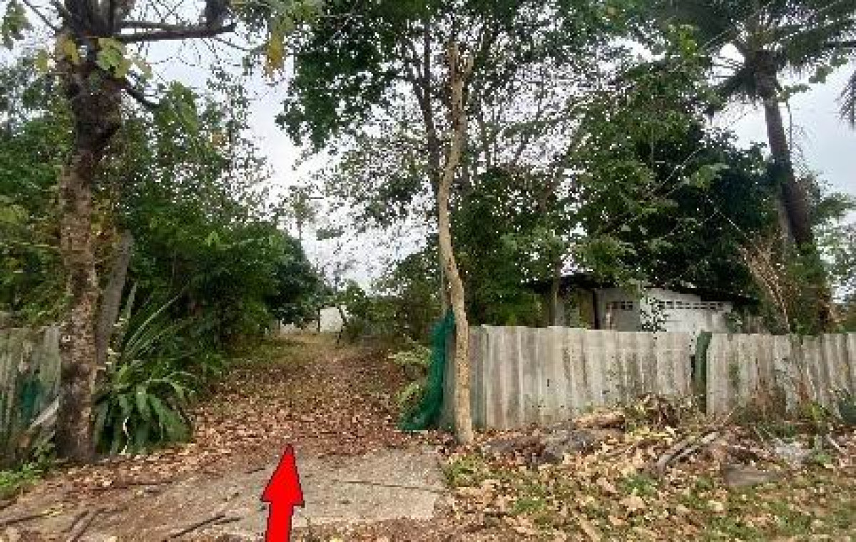 บ้านเดี่ยว ขอนแก่น บ้านฝาง บ้านเหล่า 585480