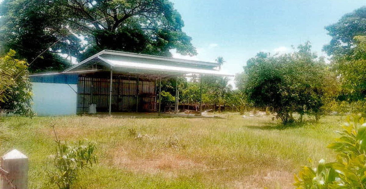 บ้านเดี่ยว สุรินทร์ ศีขรภูมิ หนองเหล็ก 244140