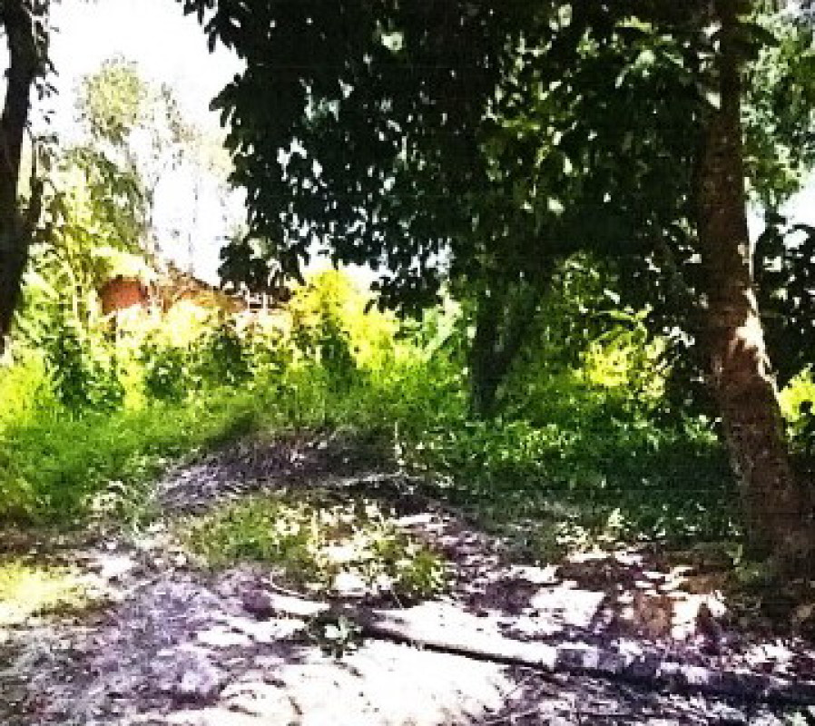 ที่ดินเปล่า นครพนม บ้านแพง หนองแวง 53600