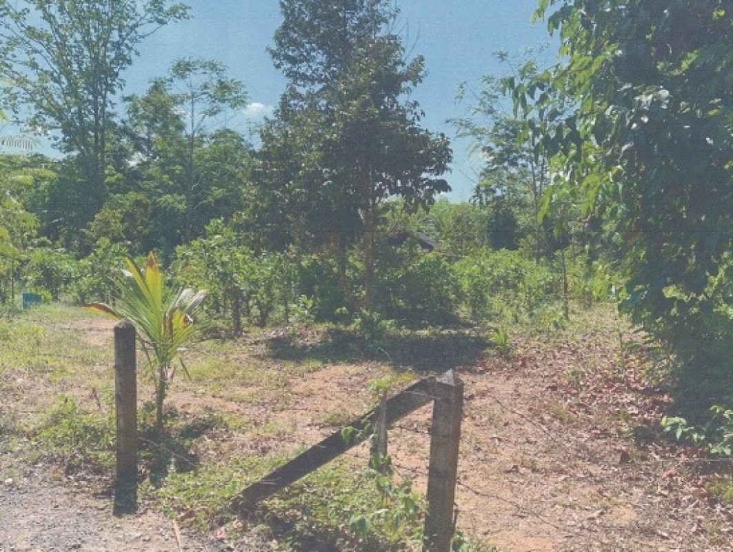 ที่ดินเปล่า ตรัง เมืองตรัง นาพละ 211500