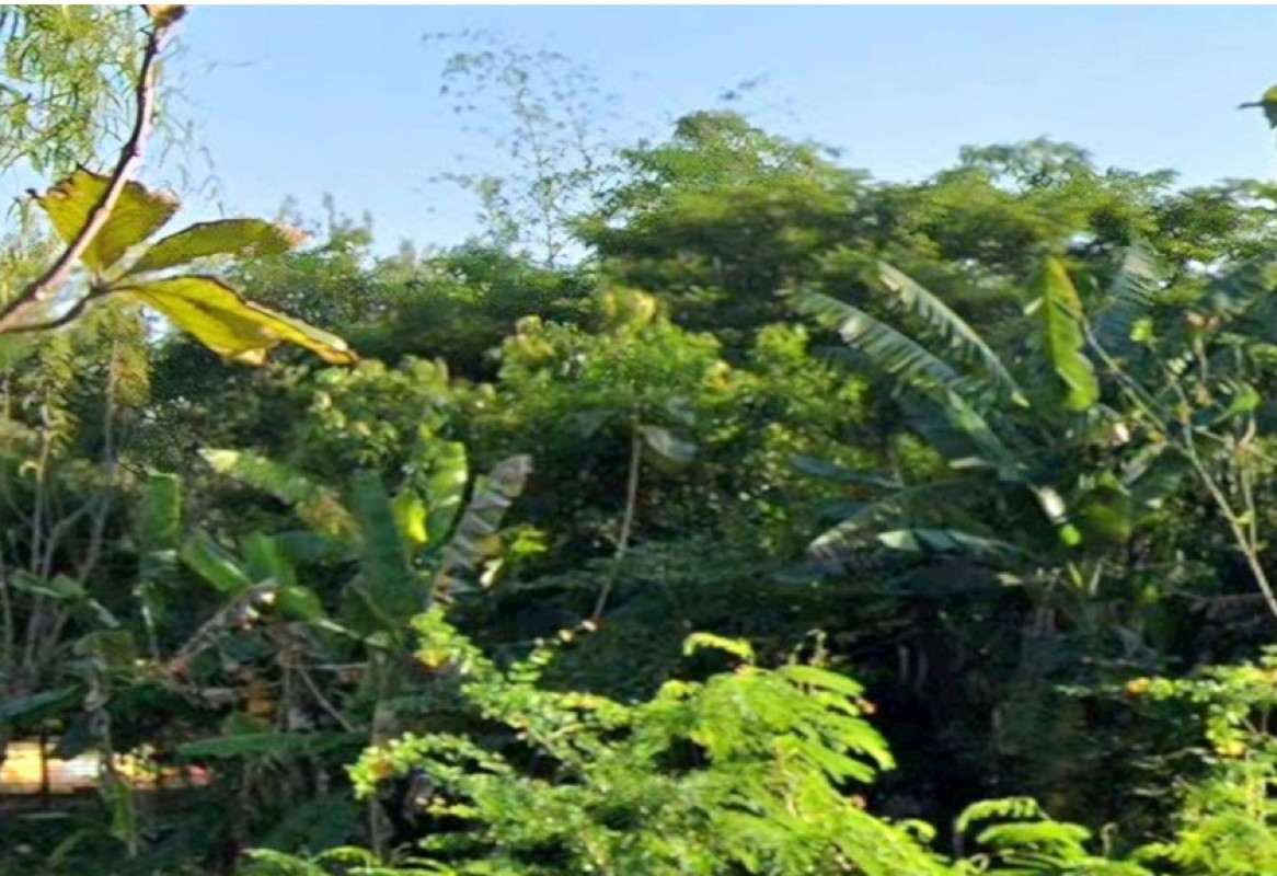 Residential land/lot Khon Kaen Nam Phong Bua Ngoen 159000