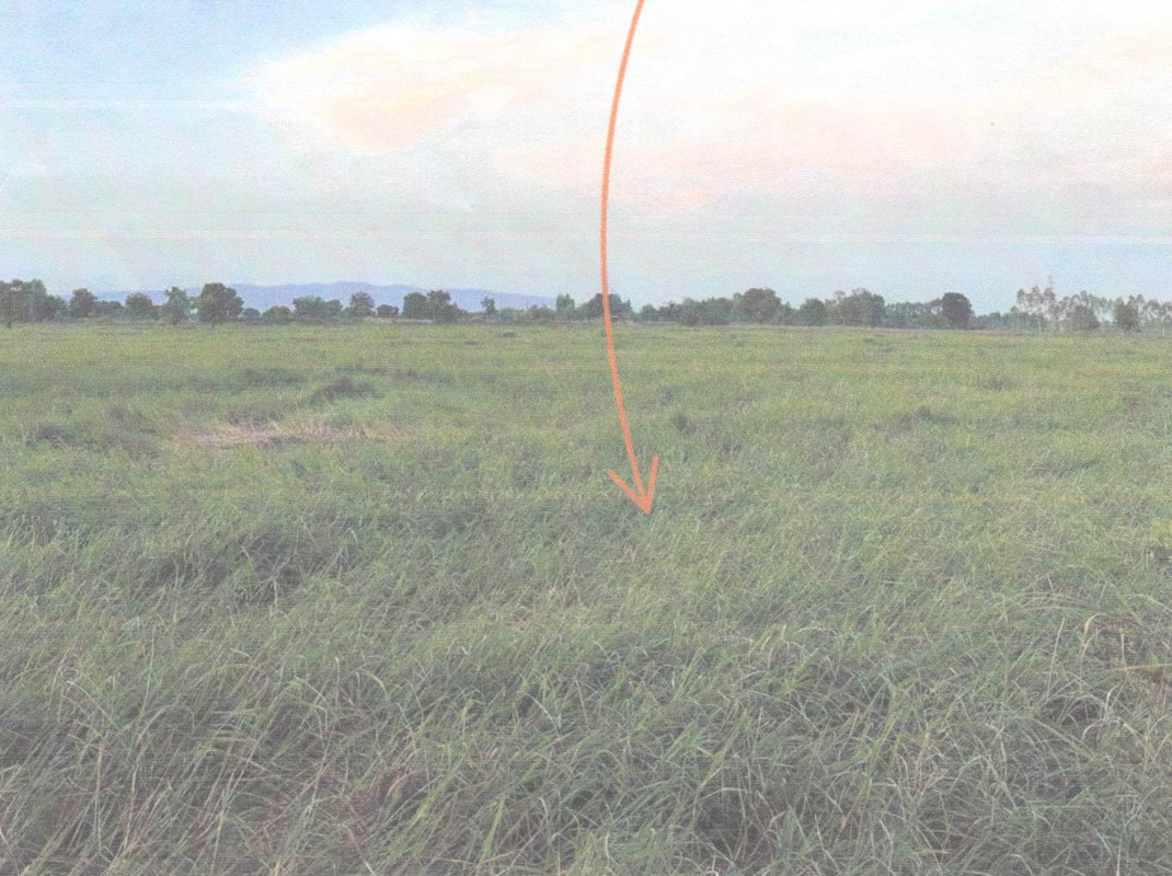 ที่ดินเปล่า ชัยภูมิ เมืองชัยภูมิ หนองไผ่ 677000