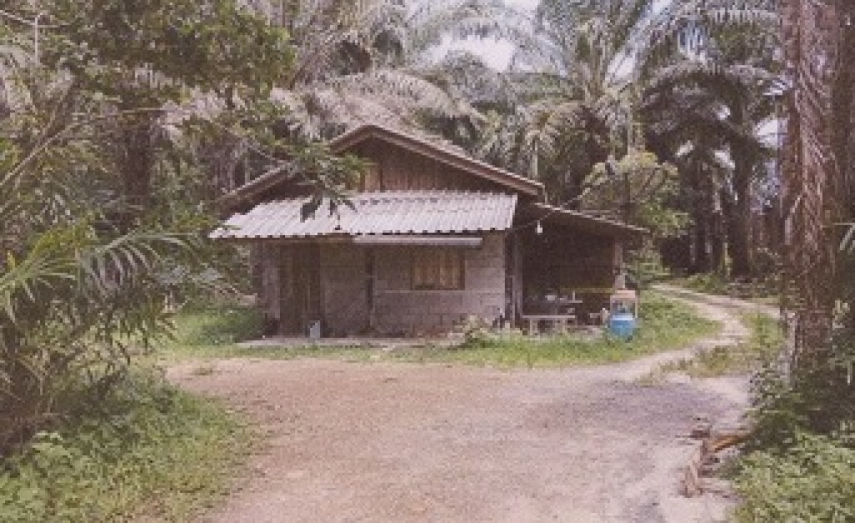 Single house Trang Mueang Trang Na Tham Tai 819999