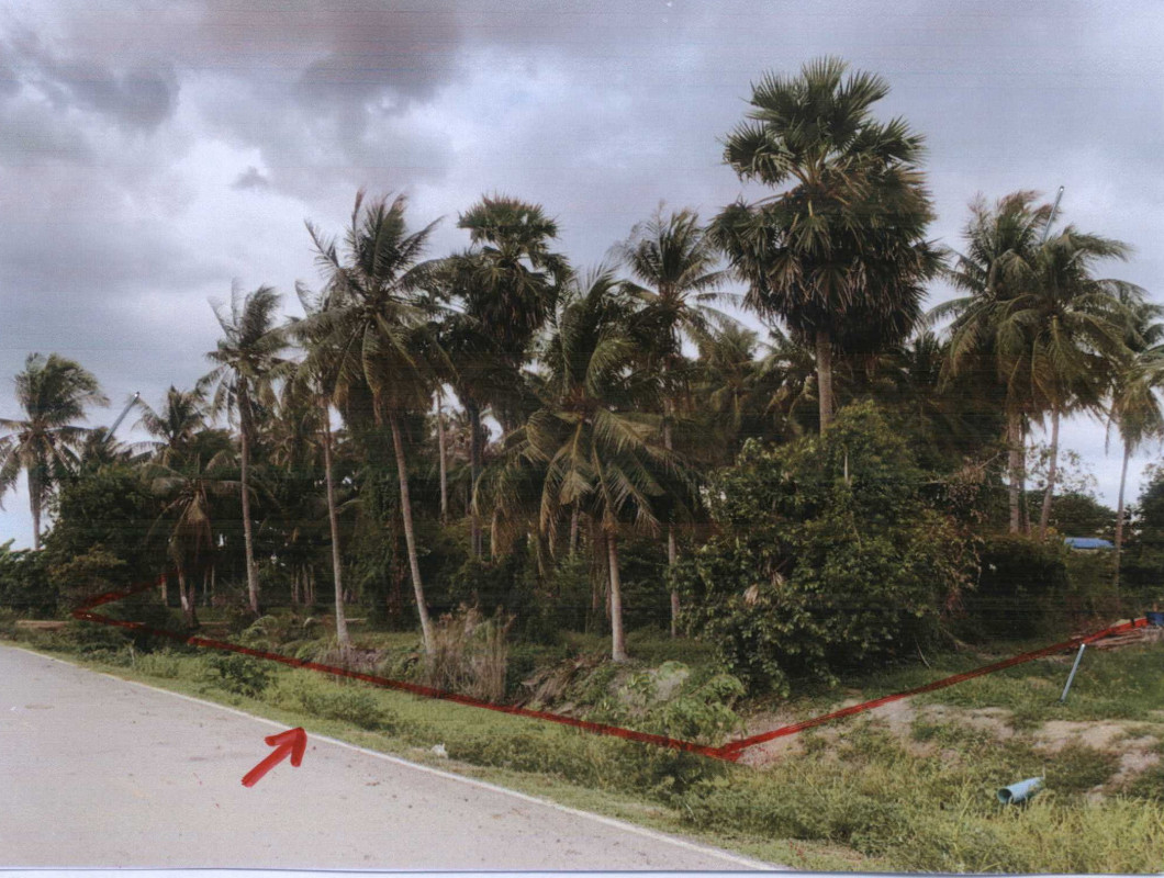 ที่ดินเปล่า เพชรบุรี เมืองเพชรบุรี ต้นมะพร้าว 583500