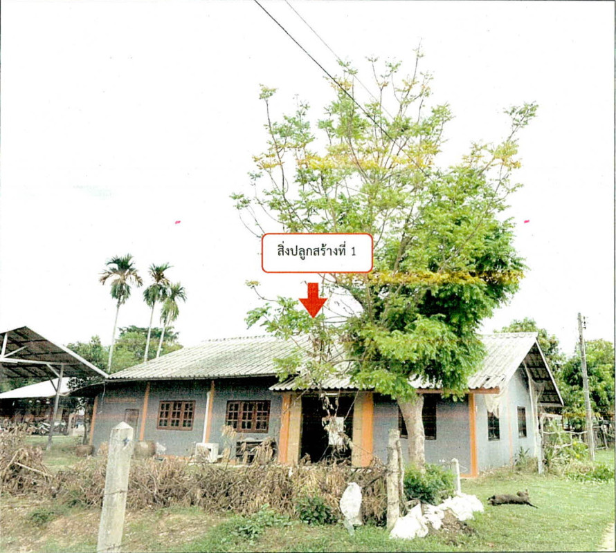 บ้านเดี่ยว สุรินทร์ เมืองสุรินทร์ ตาอ็อง 1126272