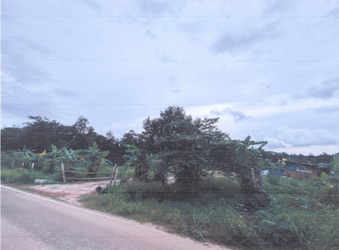 ที่ดินเปล่า นครพนม เมืองนครพนม ดงขวาง 454800