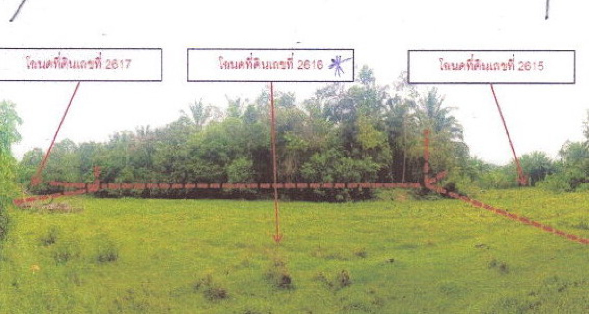 บ้านเดี่ยว กระบี่ คลองท่อม ทรายขาว 1489315