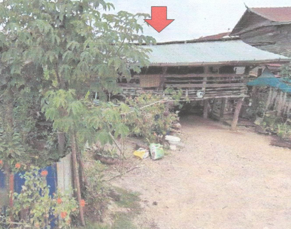 บ้านเดี่ยว ชัยภูมิ จัตุรัส หนองโดน 111960