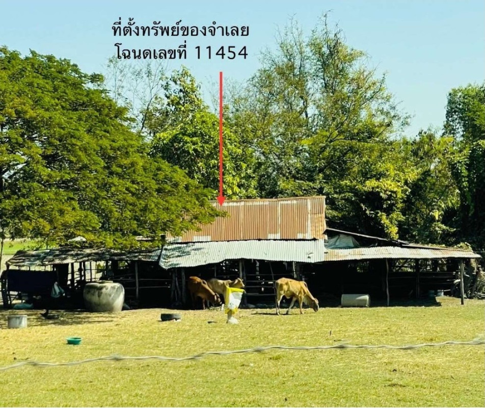 Single house Khon Kaen Sam Sung Huai Toei 542250