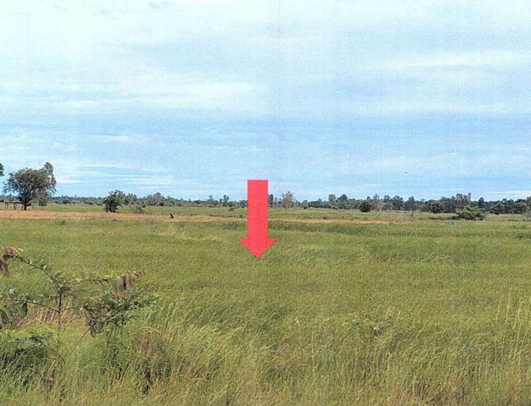 Residential land/lot Sakon Nakhon Phon Na Kaeo Chiang Sue 236860