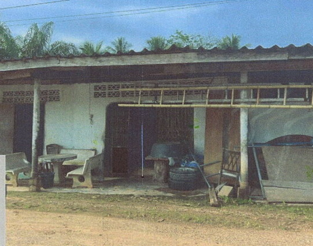 บ้านเดี่ยว กระบี่ เขาพนม พรุเตียว 2068125