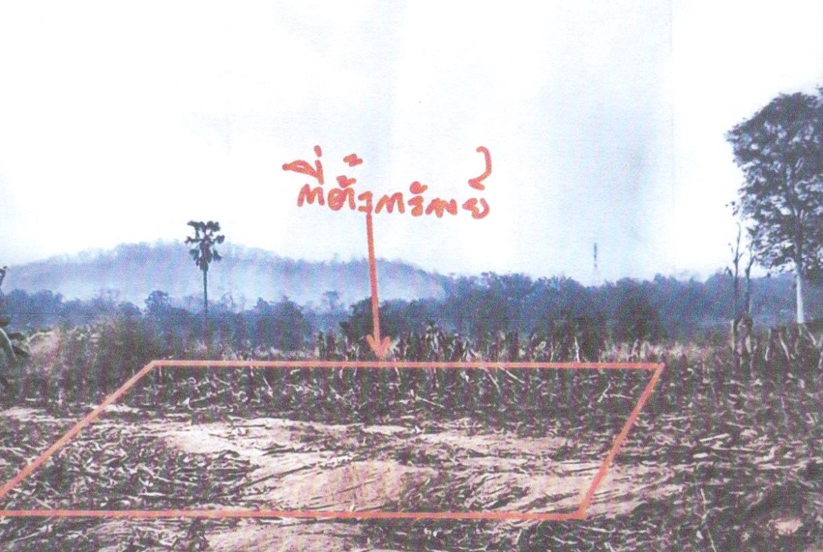 ที่ดินเปล่า เลย ท่าลี่ หนองผือ 759000