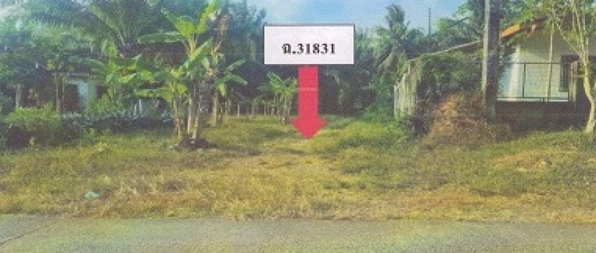 ที่ดินเปล่า ตรัง เมืองตรัง นาท่ามใต้ 563500