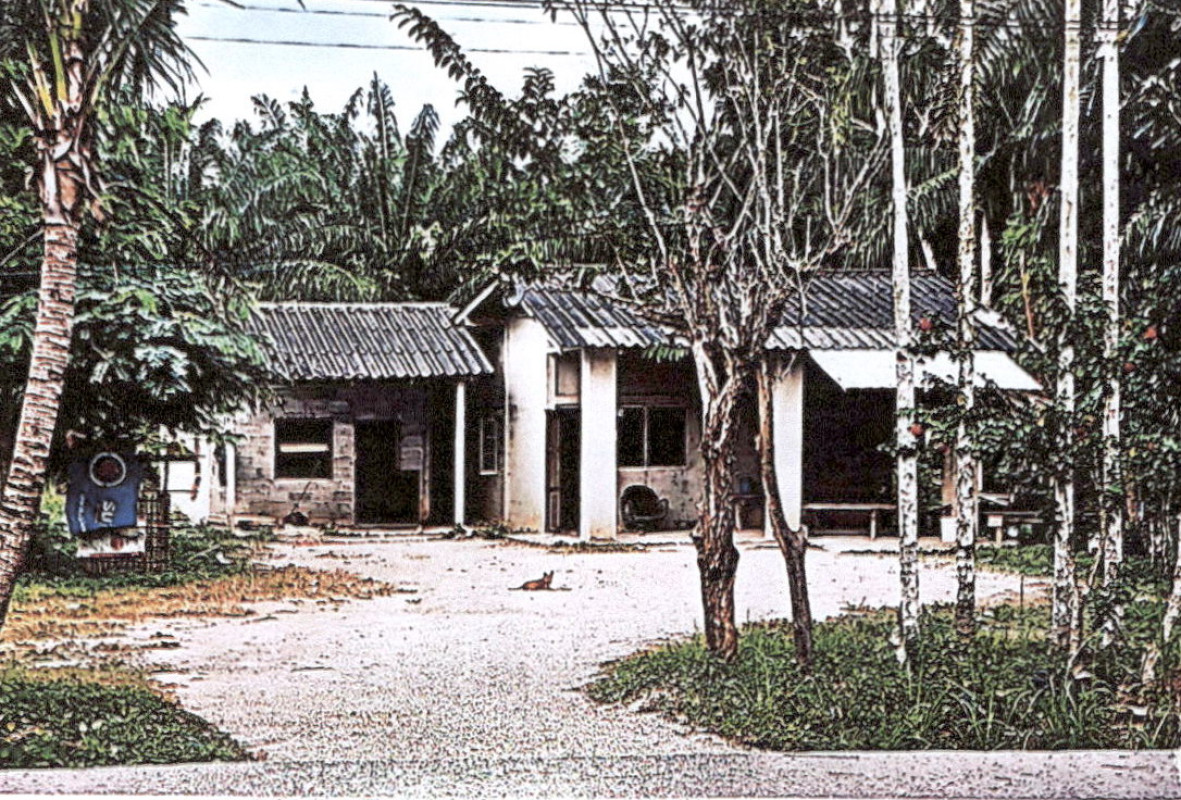 บ้านเดี่ยว กระบี่ เขาพนม หน้าเขา 1259720