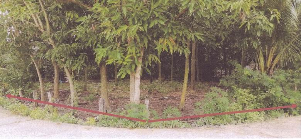 Residential land/lot Surin Kap Choeng Takhian 85800