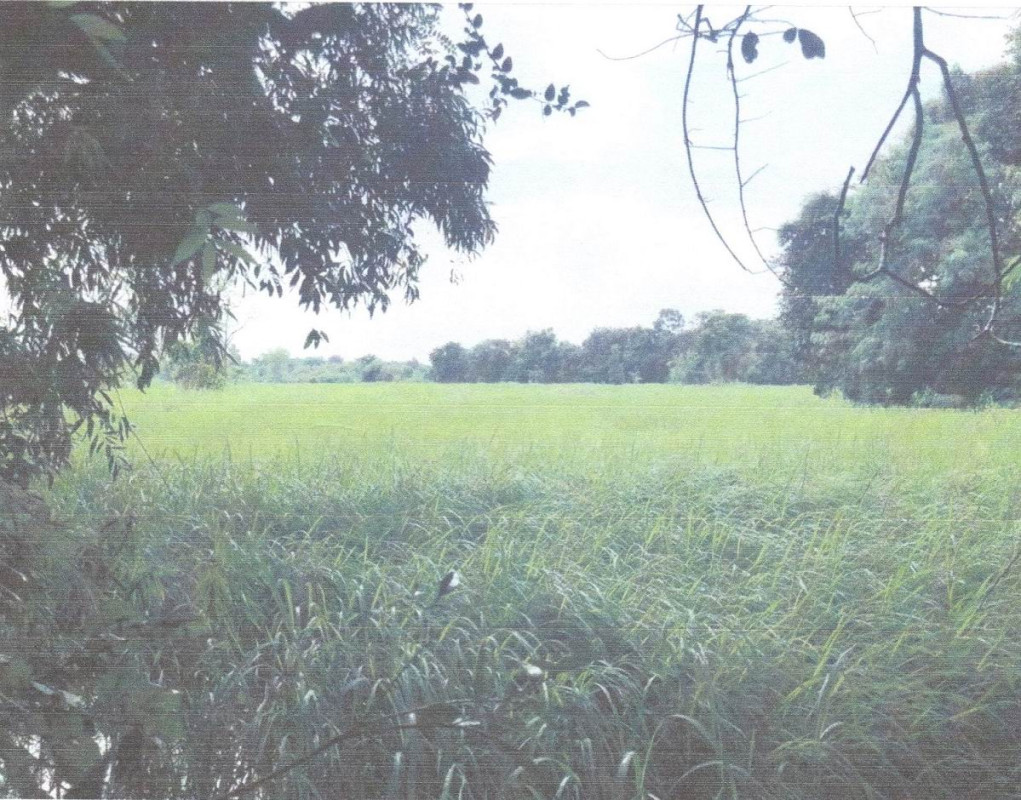 ที่ดินเปล่า ชัยภูมิ เมืองชัยภูมิ ในเมือง 1080000