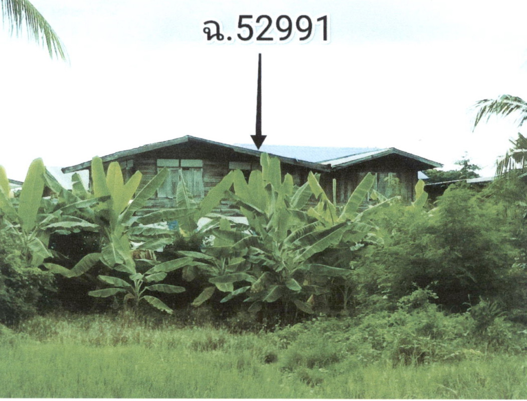 บ้านเดี่ยว กาฬสินธุ์ ยางตลาด ยางตลาด 1247000