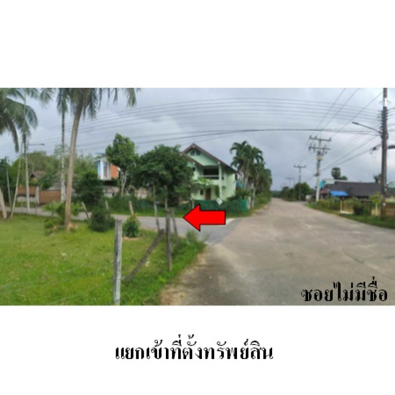 บ้านเดี่ยว สงขลา หาดใหญ่ ทุ่งตำเสา 2828500