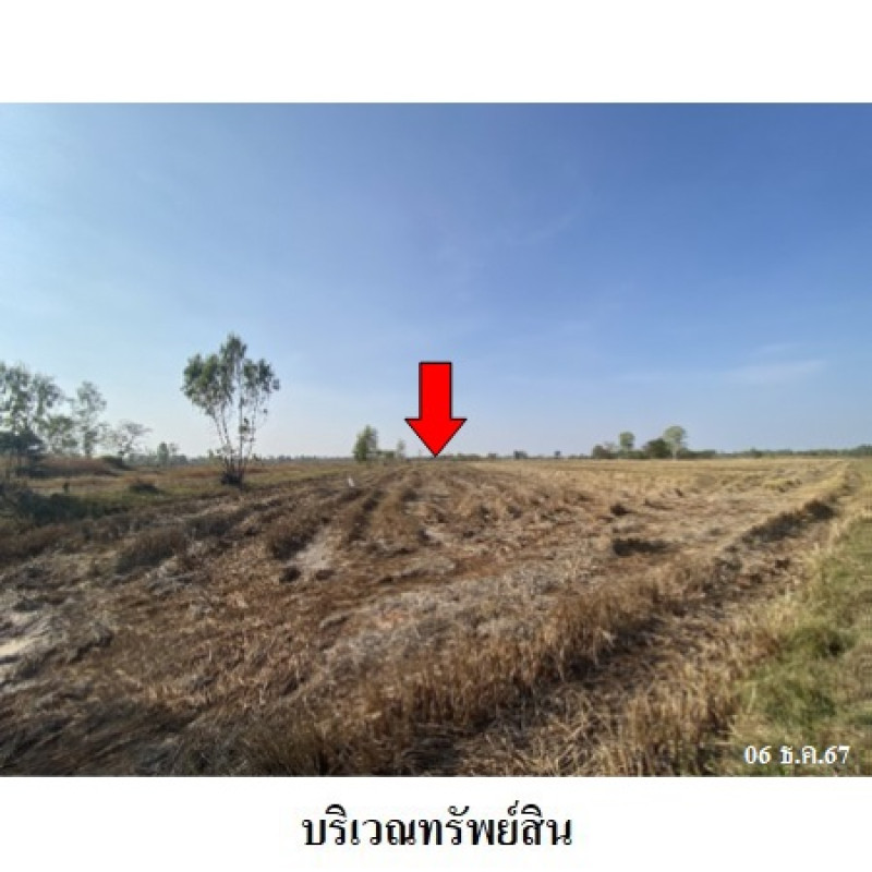Residential land/lot Roi Et Pathum Rat Khi Lek 11186100