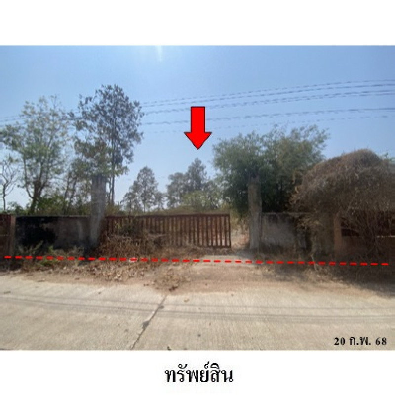 บ้านเดี่ยว กาฬสินธุ์ กุฉินารายณ์ บัวขาว 818000