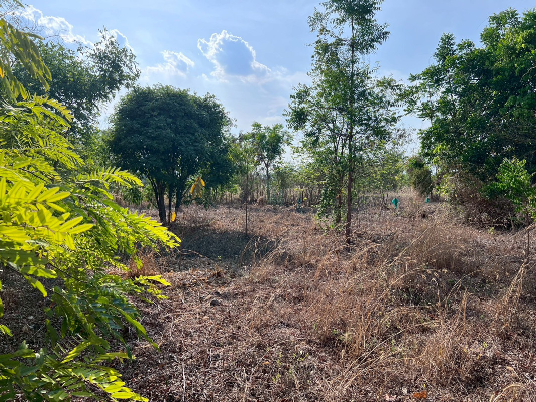 ที่ดินเปล่า สุพรรณบุรี อู่ทอง พลับพลาไชย 2900000
