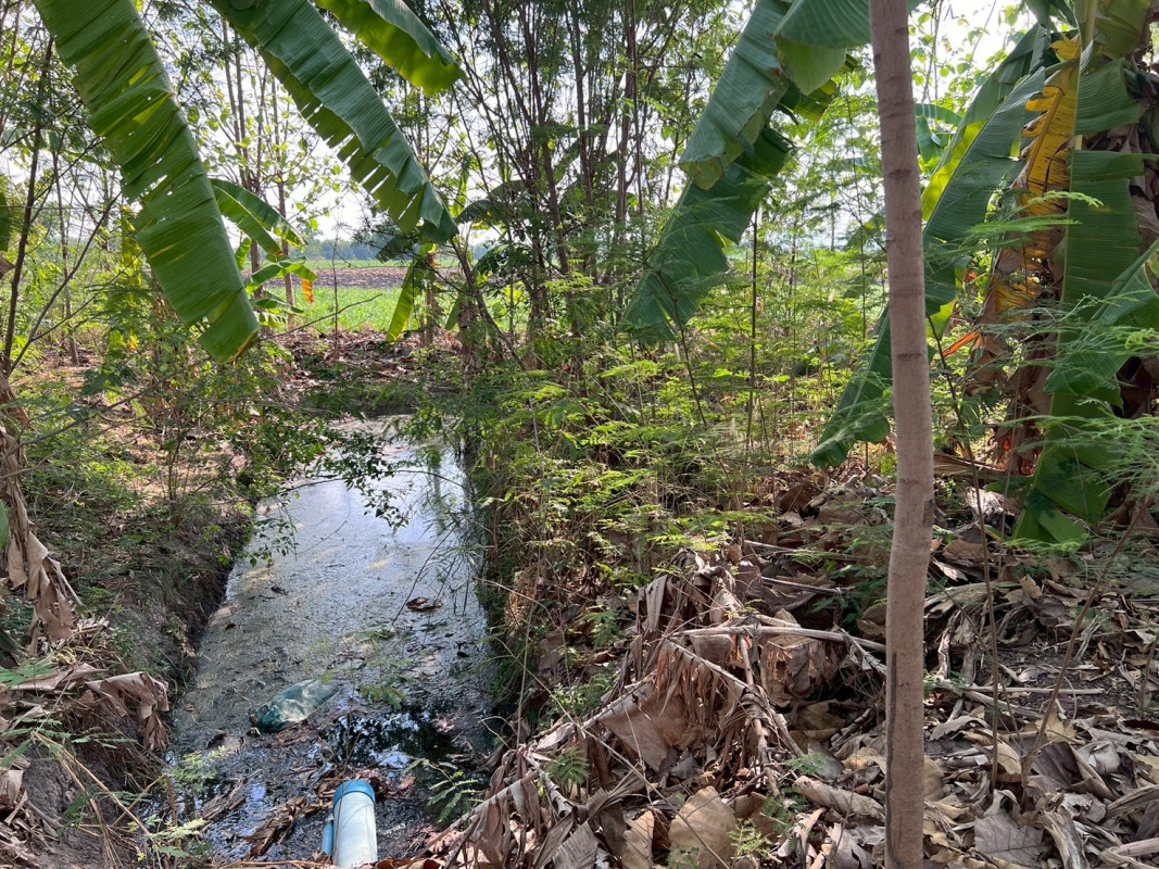 ที่ดินเปล่า สุพรรณบุรี อู่ทอง พลับพลาไชย 2900000