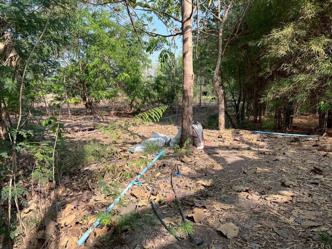 ที่ดินเปล่า สุพรรณบุรี อู่ทอง พลับพลาไชย 2900000