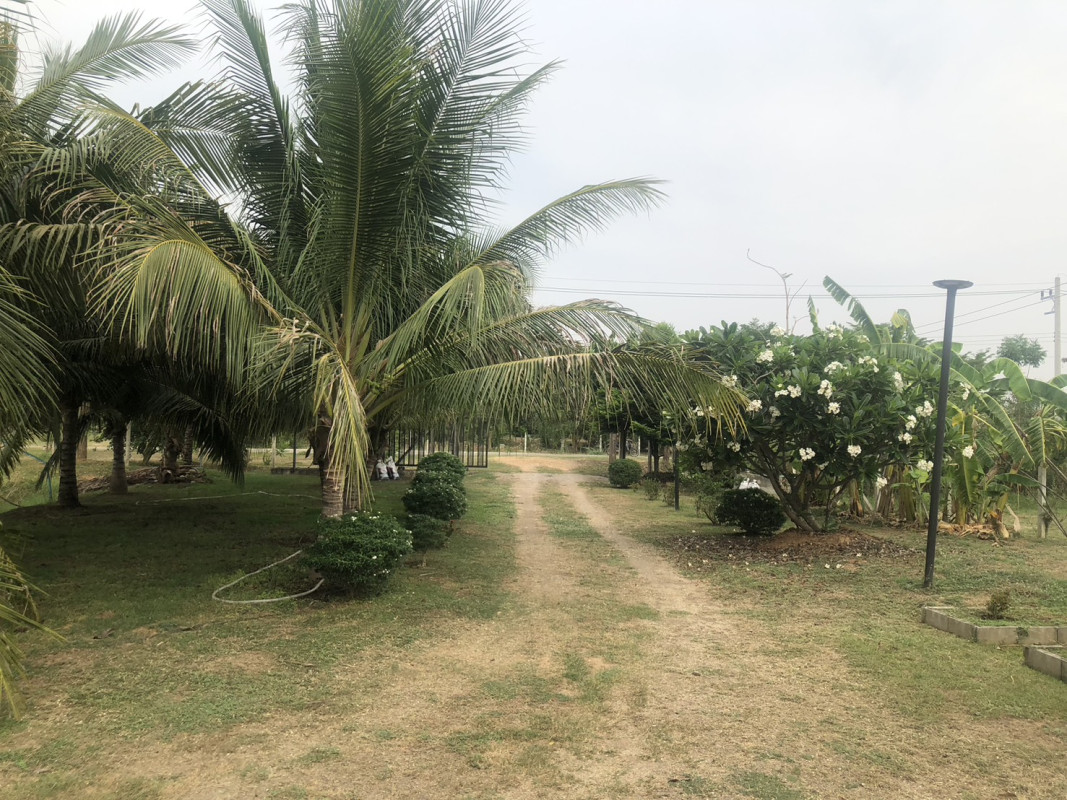 ที่ดินเปล่า ราชบุรี ปากท่อ อ่างหิน 3900000
